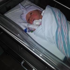 Meet your Posher, Elving